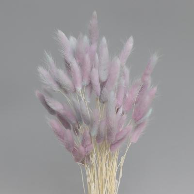 China Best Selling Modern Home Decoration Accessories Party Bouquet Dry Natural Lavender Dried Flower for sale