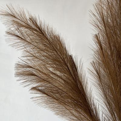 China Giving 2021 Phragmites Reed Home Decoration Natural Pampas Artificial Grass For Wedding for sale