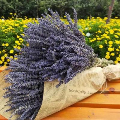 China Beautiful Colorful Berries Raw Materials For Bulk Peony Wedding Artificial Lavender Flower Wall for sale