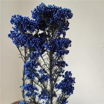 China Openable Hollow Hanging Transparent Christmas Decoration Apple Eucalyptus Wreath Wholesale Eucalyptus Leaves Dry Flower Wreath for sale