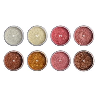 China De losse Make-up Highlighter 8 van het Poedergezicht Gemakkelijke Kleuring van het Kleuren de Langdurige Hoge Pigment Te koop