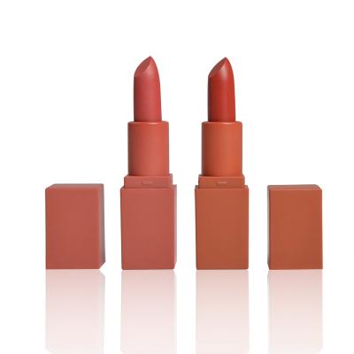 Cina Insieme opaco del rossetto di rivestimento dei cosmetici di trucco dell'OEM, rossetto opaco duraturo in vendita