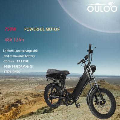 China Classic Electric Dirt Bikes Motor Motorbikes 750W 20