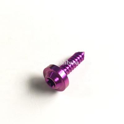 China Pan Anodized Titanium Alloy Tapping Screw for sale