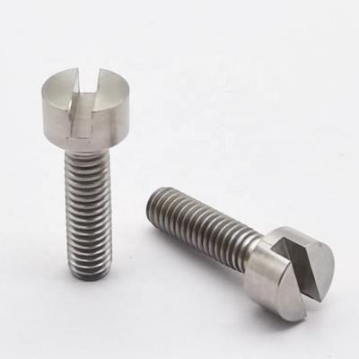 China Pan DIN84 DIN85 Titanium Slotted Pan Head M6 M8 Screws for sale