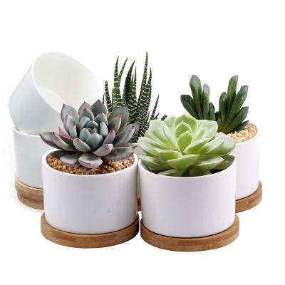 China Pots With Tray Succulent Pots White Mini Flower Planter Bamboo Ceramic Pot With Bamboo Tray for sale