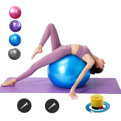 China 55cm Anti-shatter Exercise Gym Soft Eco Friendly Fitness Ball Hot Selling Premium Yoga Ball for sale