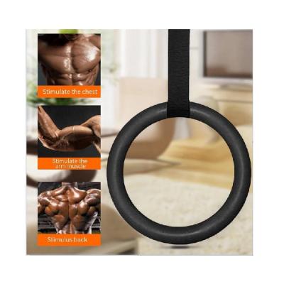 China Durable Practical ABS Plastic Gymnastic Rings Fitness Exercise Gym Abdominal Ring for sale