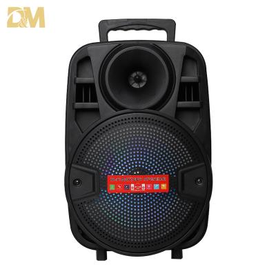 China Digita dolby top selling mini portable bluetooth speaker with led light 8 inch woofer speaker with remote portable speaker for karaoke for sale