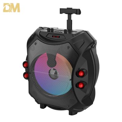 China Digita Lowest Price Portable Dolby Karaoke Speaker With Lights 12 Inch Subwoofer Speaker With Microphone Trolley Speaker For Party for sale