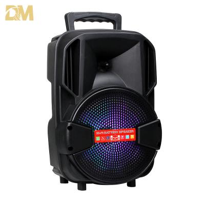 China Digita BT Multifunctional Led Speaker Dolby 8 Inch Trolley Speaker With Mic Karaoke Speakers For Outdoor Camping Party for sale