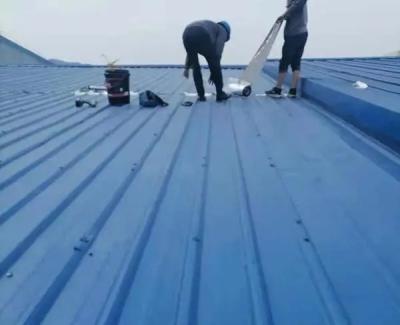 China Modern Corrugated Metal Roofing Sheet Roof Canopy for sale