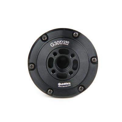 中国 Custom G30 0.08nm Brushless Gimbal Motor Low Torque 8.5a Low Speed 290kv 販売のため