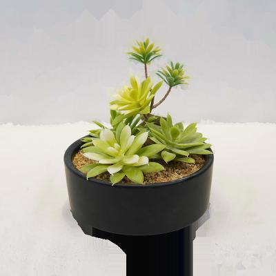 China Wholesale shabby chic simulation Mini Plastic Artificial Fake Cactus succulent plant decoration for sale