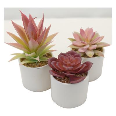 China Decoration Garden Plant Artificial Succulent Arrangement in Ceramic Artificial Succulent for Home Office Decor for sale