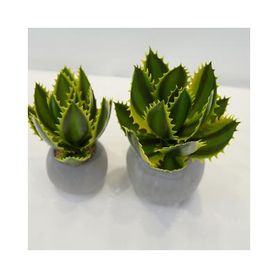 China Decoration Garden Plant Artificial Succulent Arrangement in Ceramic Artificial Succulent for Home Office Decor for sale