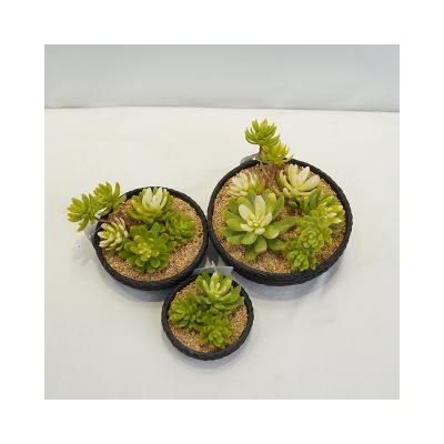 China Wholesale Succulent Mini Succulent Potted Plant Purple Artificial Modern Custom Decor Garden Package for sale