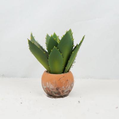 China New Design Garden Decoration Small Planet Shaped Artificial Succulents Cactus Plants Stems Pieces for sale