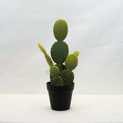 China Decorration Artificial Succulents Plants Cactus Potted in Plastic Pot Cactus Plants for Indoor/Landscape Decoration for sale