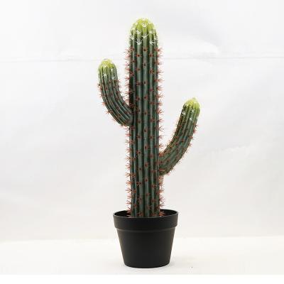 China Decorration Wholesale Artificial Cactus for Home Decor for sale