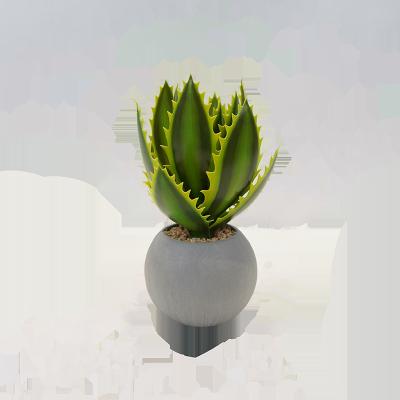 China Wholesale Cheap Decorration Artificial Succulents And Cacti With Home Decoration for sale