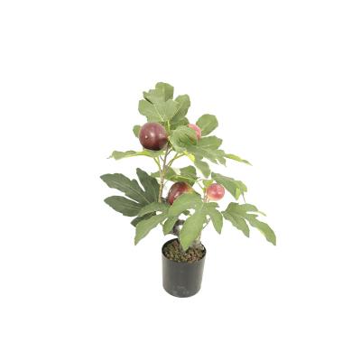 China Tropical Plant Artificial Artificial Tree Ficus carica Fruit Tree Decoration Garden Plant Decorative Plant for sale