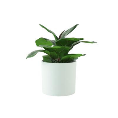 China High Simulation Garden Decoration Artificial Plastic Mini Potted Plants Eucalyptus Plants For Home Office Office for sale