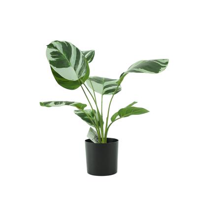 China Wholesale Hot Selling Garden Decoration Potted Plant Green Radish Turtle Artificial Leaf Plants Artificial Potted Plant For Garden Decor for sale