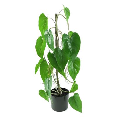 China Wholesale Decoration Garden Greenery Artificial Plant Potted Taro Leaf Plant Artificial Potted Green Plant for sale