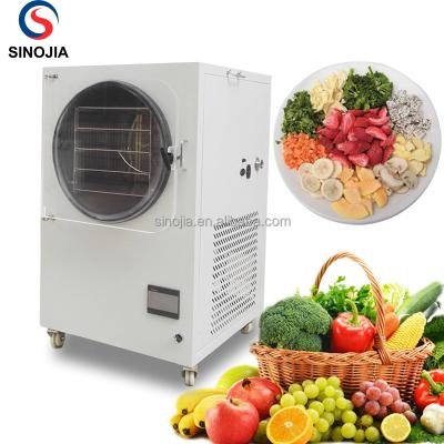 China Medicine Curing Mini Machine Cheap Price Food Freeze Dryer / Vacuum Freeze Dryer Meat Machine for sale