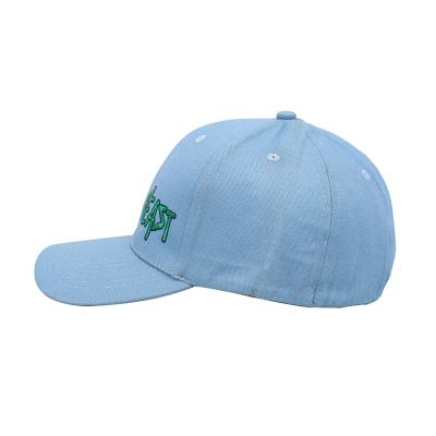 China Wholesale COMMON Custom Fitted Hats Closed Back Hat Blue Baseball Cap for sale