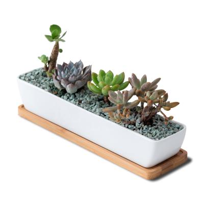 China White Ceramic Succulent Pots Mini Flower Plant Containers Simply Long Rectangle Planter With Bamboo Saucers for sale