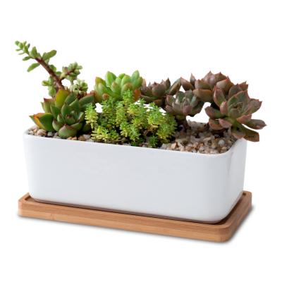 China Simply Home Decorative White Ceramic Rectangular Succulent Planters With Removable Bamboo Saucers for sale