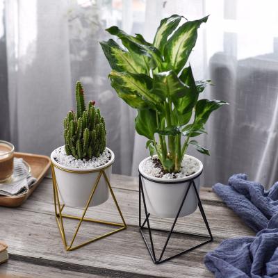 China Simply Inside Garden Decor Desk Plant Pot Round White Ceramic Succulent  With Metal Stand Hold for sale