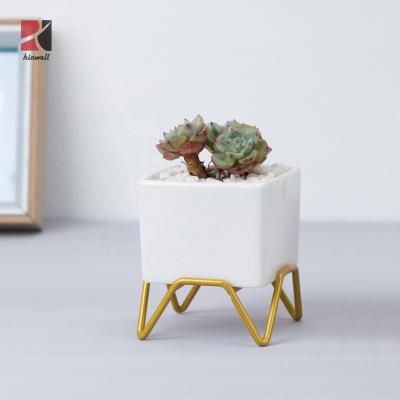 China Indoor Square Bonsai Cactus Cacti Maker Pots Desktop Small White Decor HINWELL Ceramic Planter For Succulent for sale