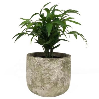 China Hand Glazed Cement Flower Pots Indoor Outdoor Concrete  With Drainage for sale