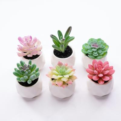 China Office Decoration Plastic Artificial Plants DIY Eco-friendly Customized Size for sale