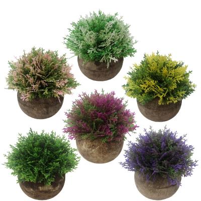 China Garden Decoration Artificial Plastic Artificial Plants Eco-friendly Mini for sale