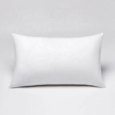 China Anti-Static Pillow Inserts Square Top Selling Comfortable Throw Cushion Insert Cushion 20x12inch Inserts for sale