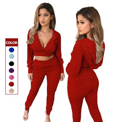 China New Breathable Slim Fit Tracksuit Women Tracksuit Sets Custom Made Velvet Lady Tracksuit for sale