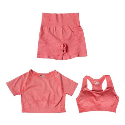 China Breathable Wholesale High Quality 3 Piece Seamless Yoga Equipments Women Set High Quality Sport Wear for sale