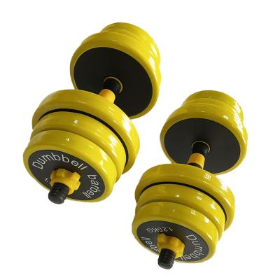 China Favorable Price Dumbbell Standard Cardboard Package Indoor Dumbbell Plated and Barbell for sale