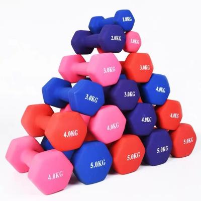 China Factory Direct Sale Durable 0.5-10Kg Hexagonal Dumbbell Dumbbell Factory Direct Aerobics Yoga Gym Woman Home Fitness for sale