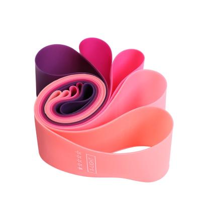 China New Product Launch 100% Natural Latex Over Door Gym Resistance Trainer Elastic Rope Elastic Belt for sale