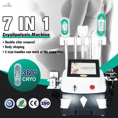 Cina RF Beauty Fat Burning Freeze Machine Cryo Laser Cavitation Cryolipolysis in vendita