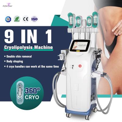 Chine 360 Cryolipolyse amincissant la machine RF de cavitation sous vide multifonctionnelle à vendre