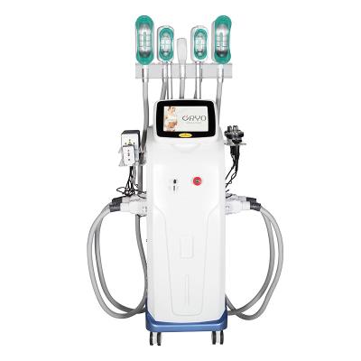 Cina 360 Cryolipolysis macchina dimagrante Coolsculpting Perdita di peso Body Contouring in vendita