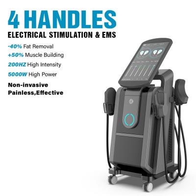 China Ce/Fda Big Screen Professional Ems Muscle Stimulator Handsome Increase Building Pelvic Floor Training Machine for sale