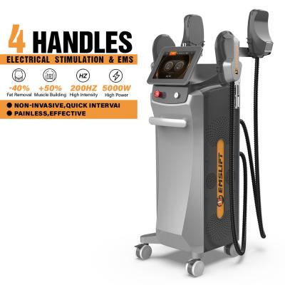 China 5000W 14 Tesla EMS Sculpting Machine voor het trainen van sterke figuur maken bekkenvloer spierstimulator Te koop