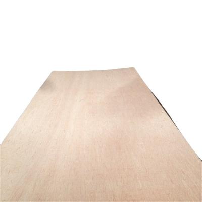 China Contemporary plywood factory direct sale 3mm 4mm 5mm 6mm pine face poplar and harwood core for furniture and construction for sale